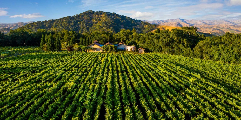 Bell Wine Cellars