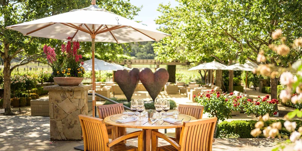 Cliff Lede Vineyards